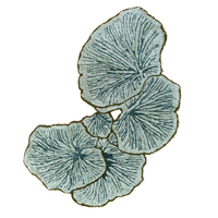 GREEN FUNGI