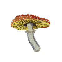 DESERT SHROOM
