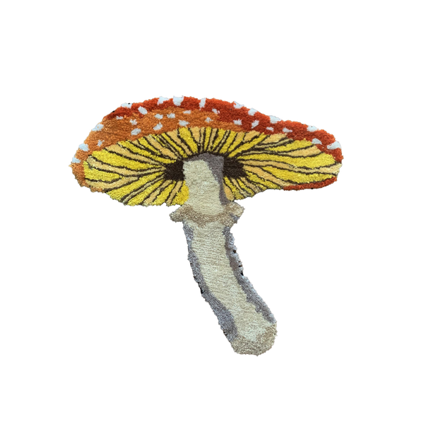 DESERT SHROOM