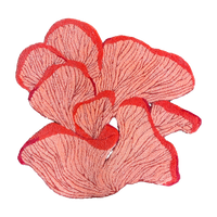 OYSTER MUSHROOM