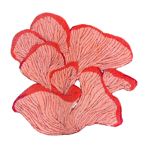 OYSTER MUSHROOM