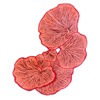 PINK FUNGI