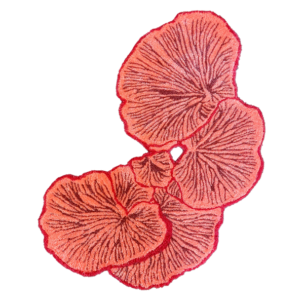 PINK FUNGI